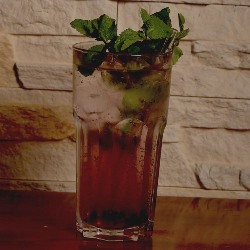 Minze Wassermelone Durstlöscher